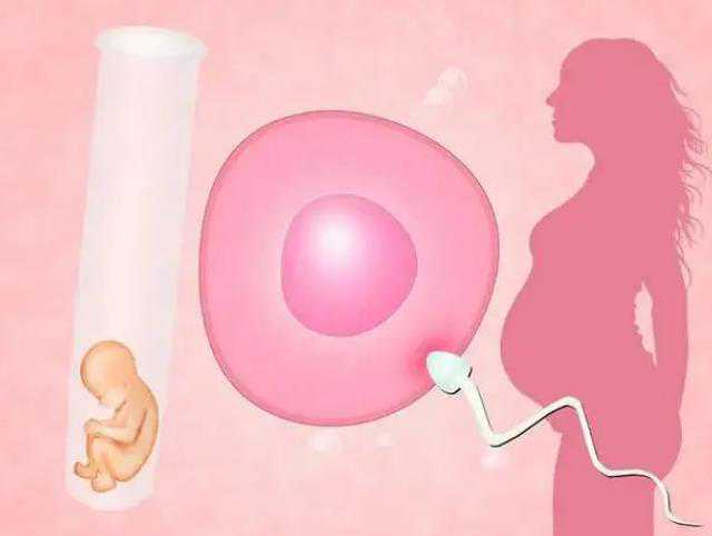 <b>代妈工资_不孕不育,月经规律却不孕，可以选择三代试管技术吗？_卵巢功能不好</b>